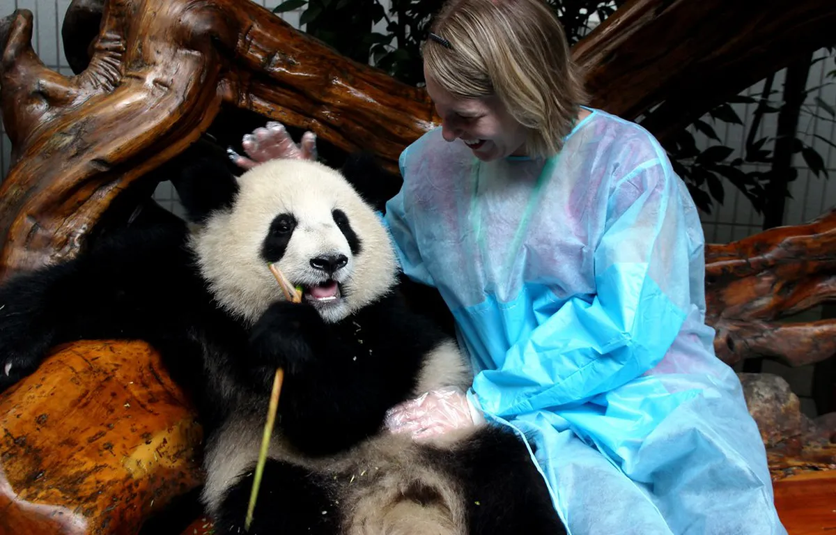 Best Time for Chengdu Walking Tours: A Seasonal Guide