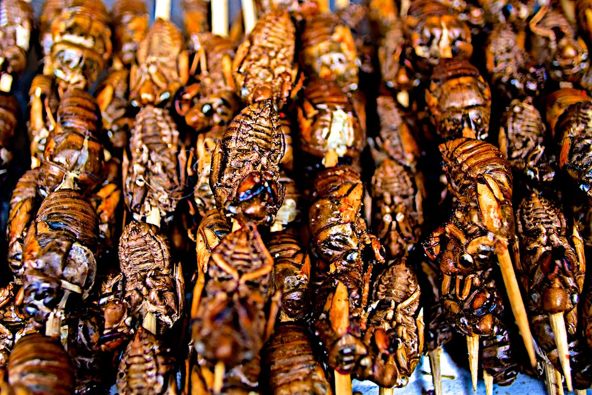 How to Book Chengdu Walking Tours: A 2-Day Itinerary