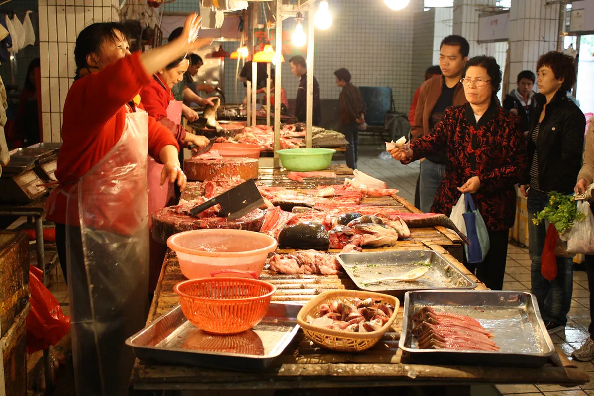 Tipping for Guangzhou Free Tours: A 2026 Budget Guide