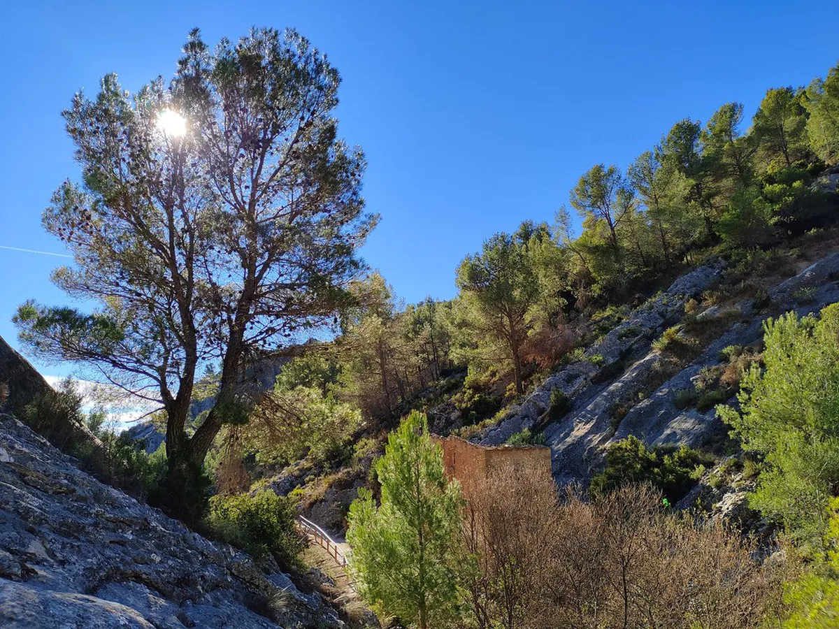 10 Ways for Walking to Elephant Trunk Hill Viewpoints