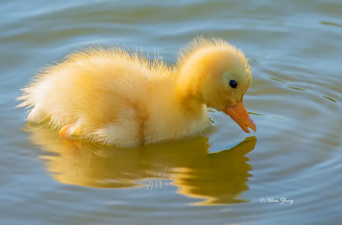 Finding Harbin Walking Tour Meeting Points: 2-Day Guide
