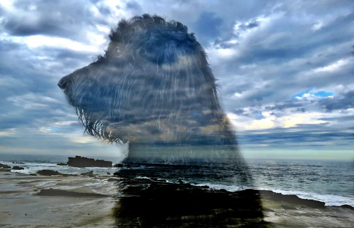 Best Snacks on Kashgar Walking Tours: A 1-Day Guide