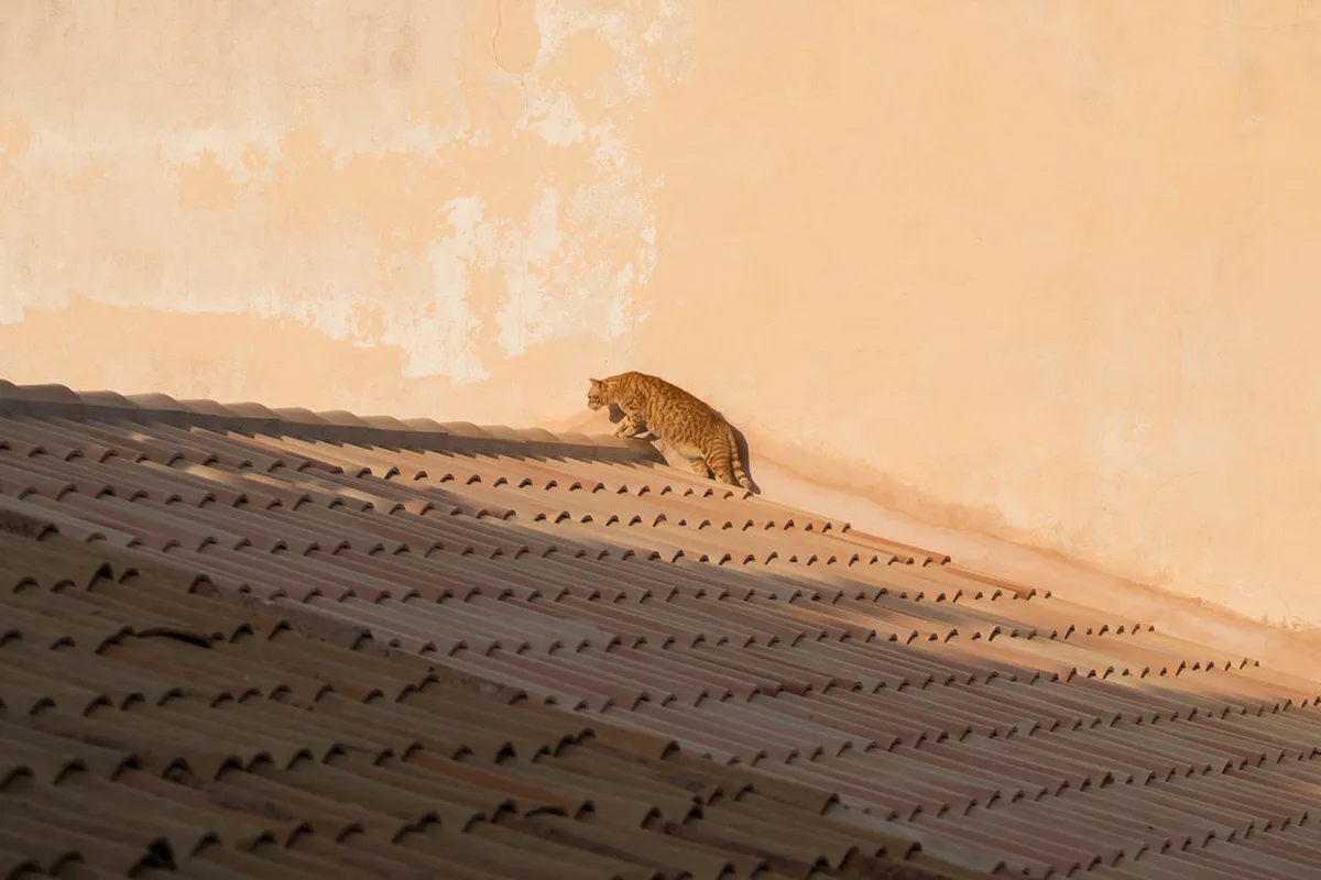 10 Must See Stops in Kashgar Old City (2026 Guide)