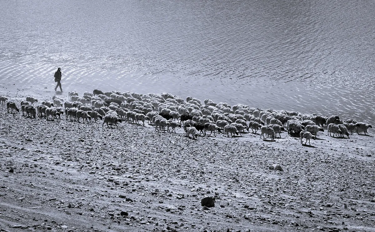 1-Day Lhasa Old Town Walking Route Map Guide