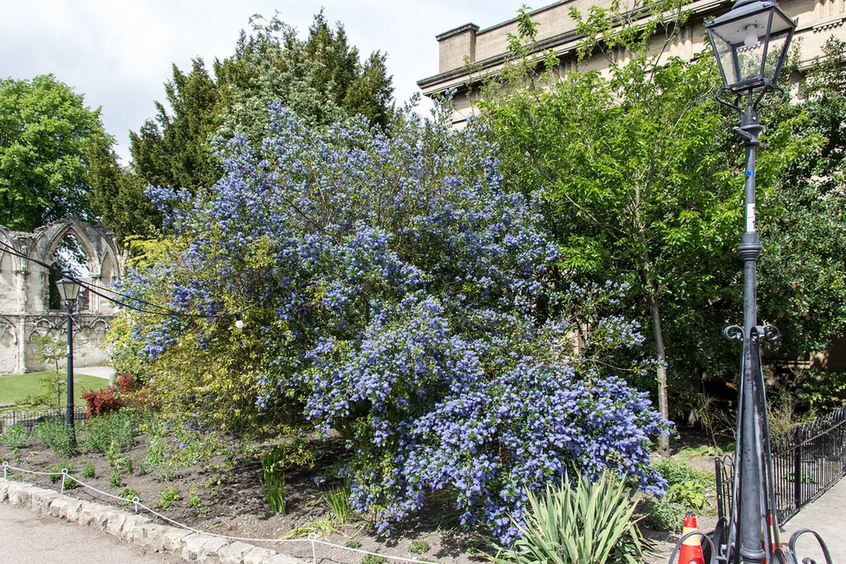 Nanjing Free Tours vs Private Tours: Cost Guide