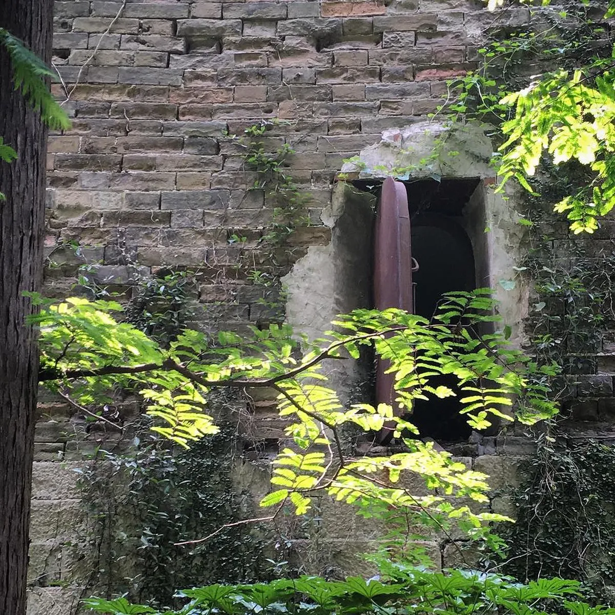 1-Day Nanjing Ming City Wall Walking Route Guide