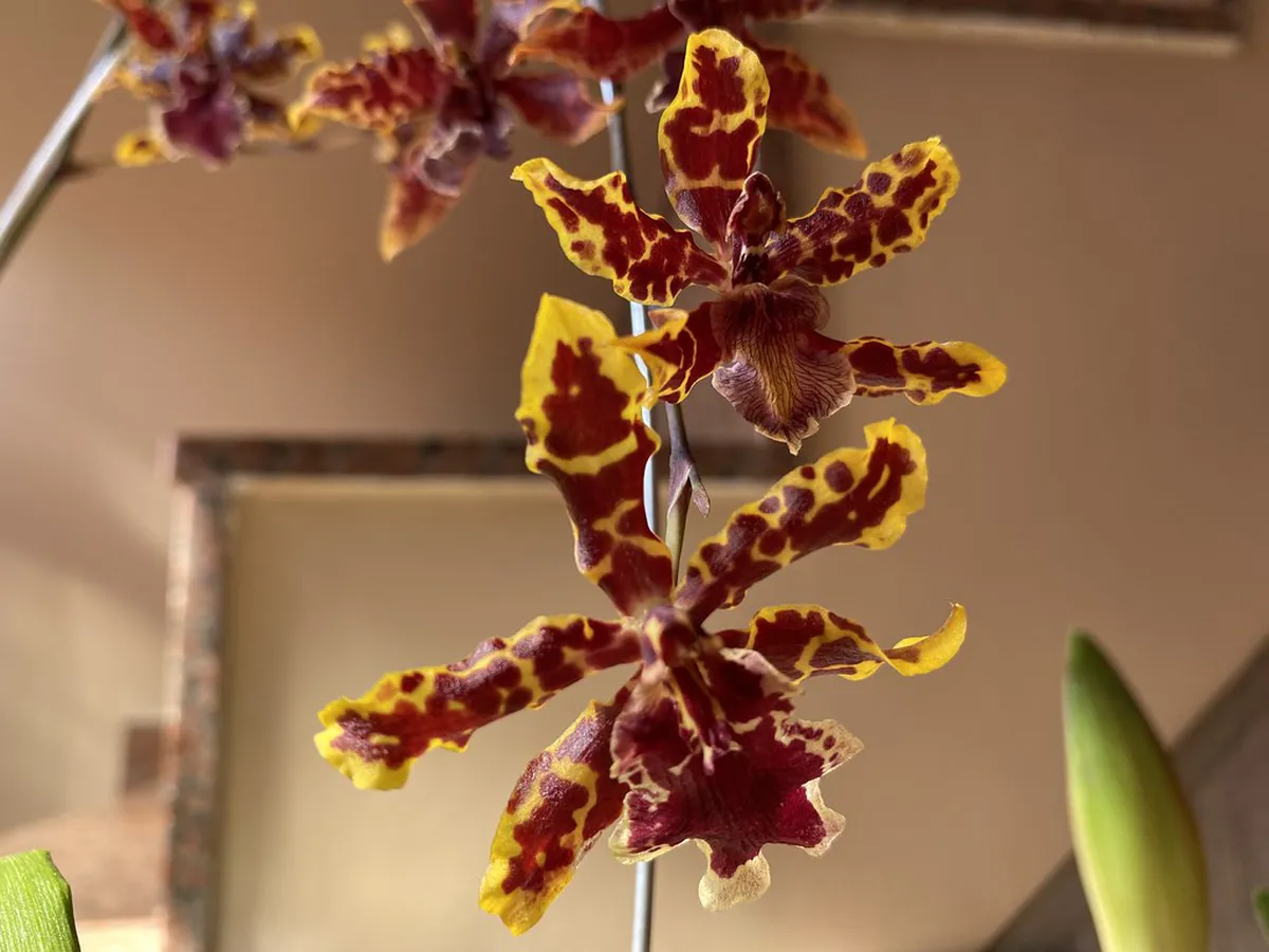 Tipping Guide for Nanjing Walking Tours: 1-Day Itinerary