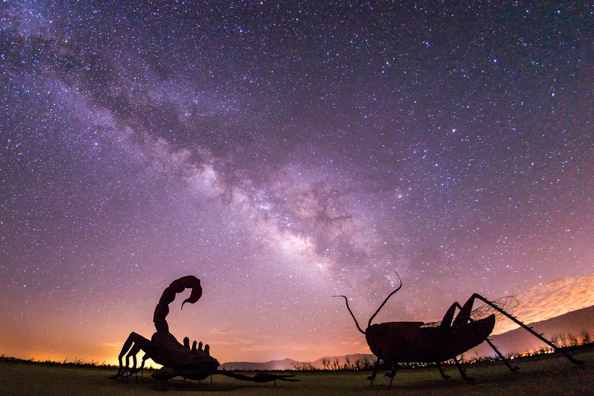 Group vs Private Suzhou Walking Tours: Which is Best?