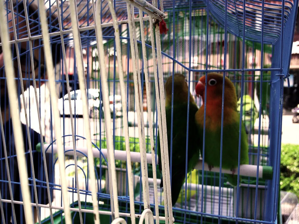 Suzhou Walking Tour Tipping Etiquette: 1-Day Guide