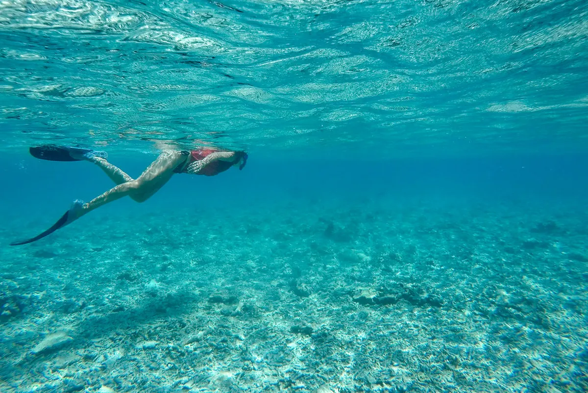 10 Ways to Find Gili Meno Underwater Statues Easily