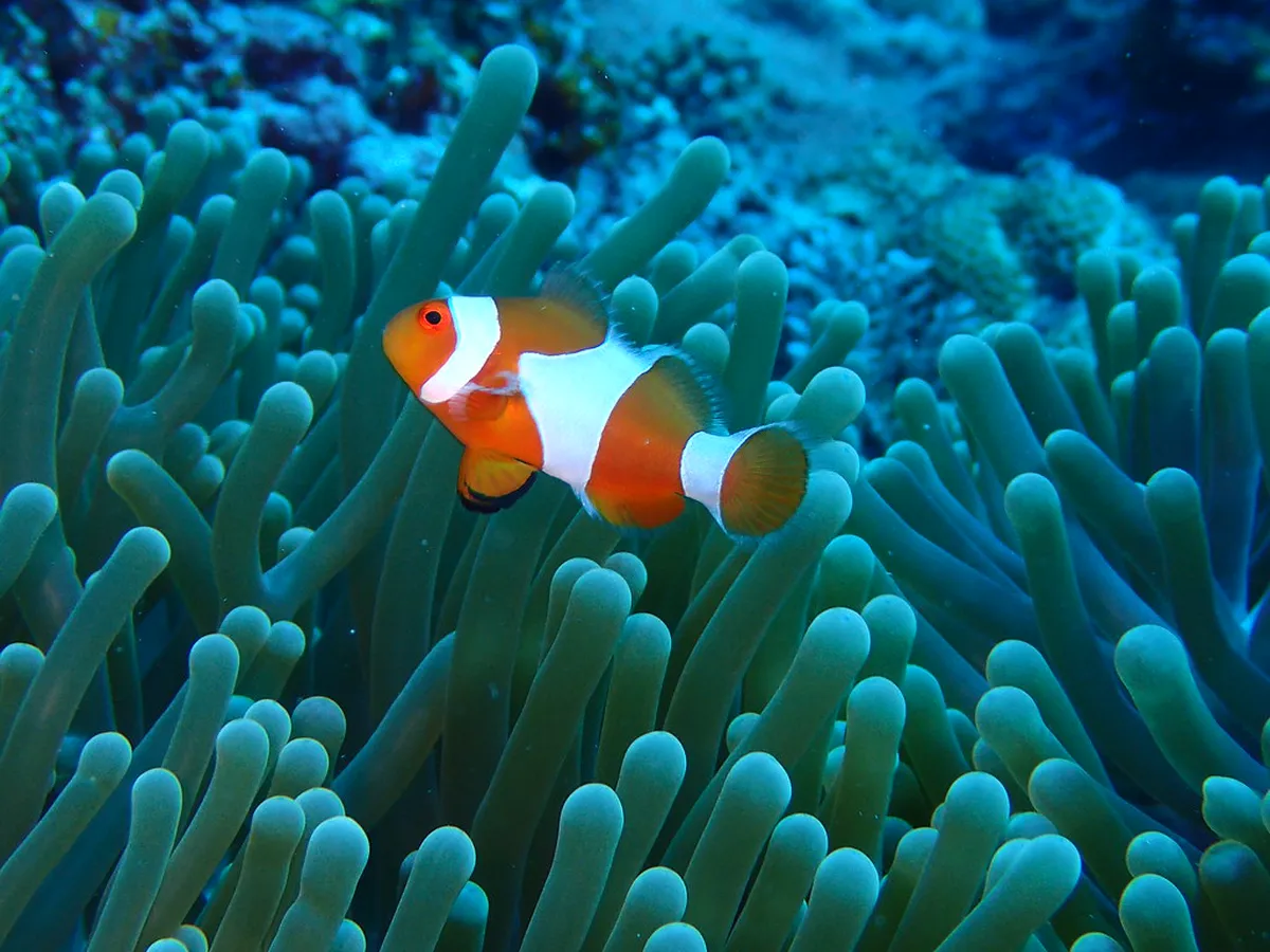 10 Best Photography Spots on Gili Meno for 2026