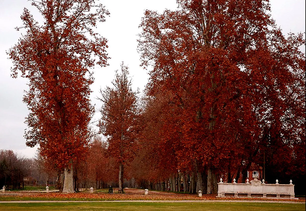 Visit Gili Meno Turtle Sanctuary: 10 Best Things to Do