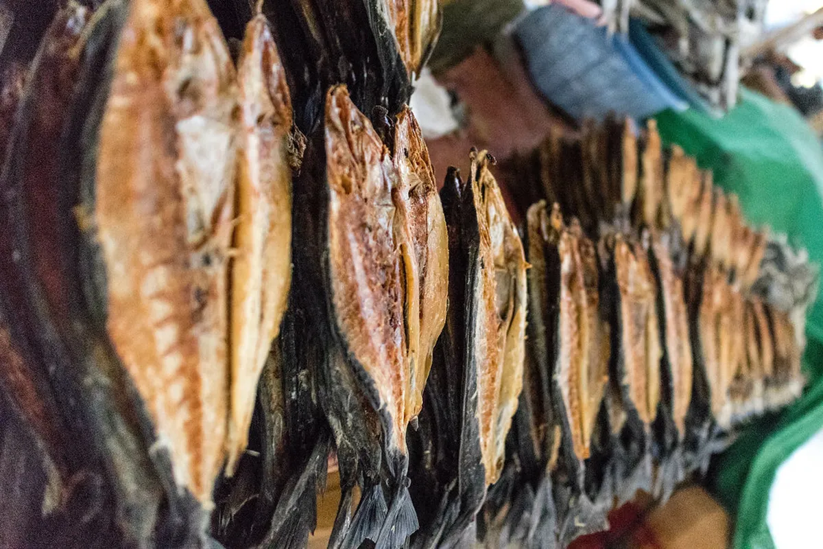 Labuan Bajo Walking Tour Packing List: 2026 Guide