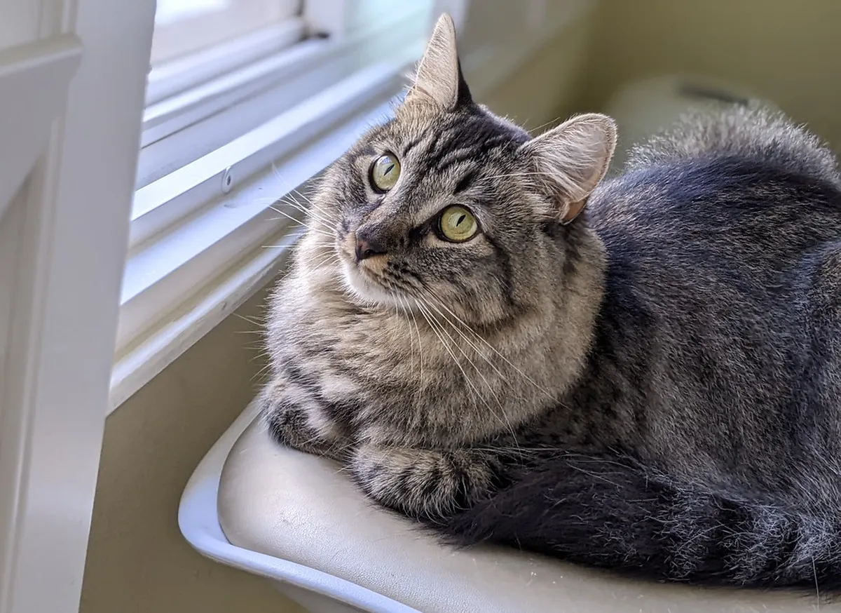 How to Stay Cool on Lovina Tours: Expert Tips