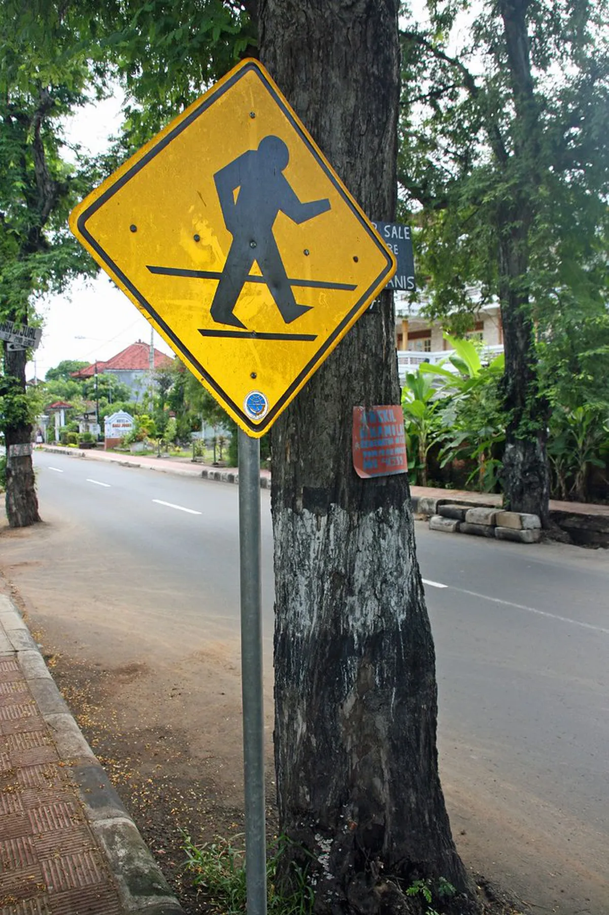 1-Day Lovina Walking Tour for Solo Travelers Guide