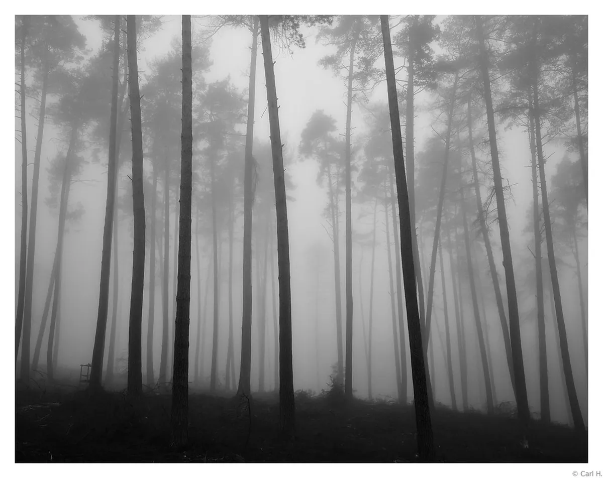 Best Time for Walking in Makassar: A Seasonal Guide