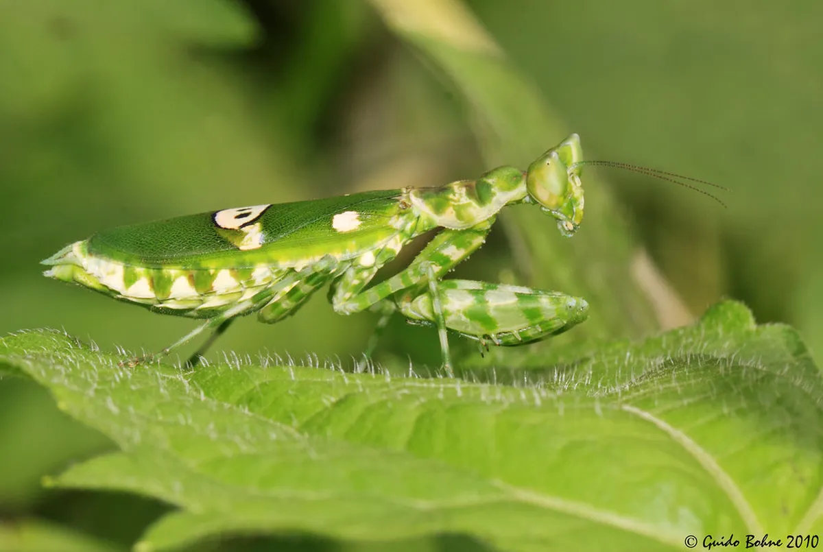 Guide to Visiting Kampung Warna Warni Jodipan in Malang