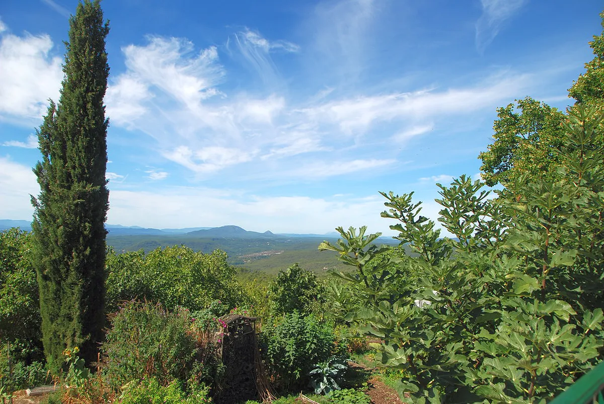 10 Best Street Food on Manado Walks (2026 Guide)