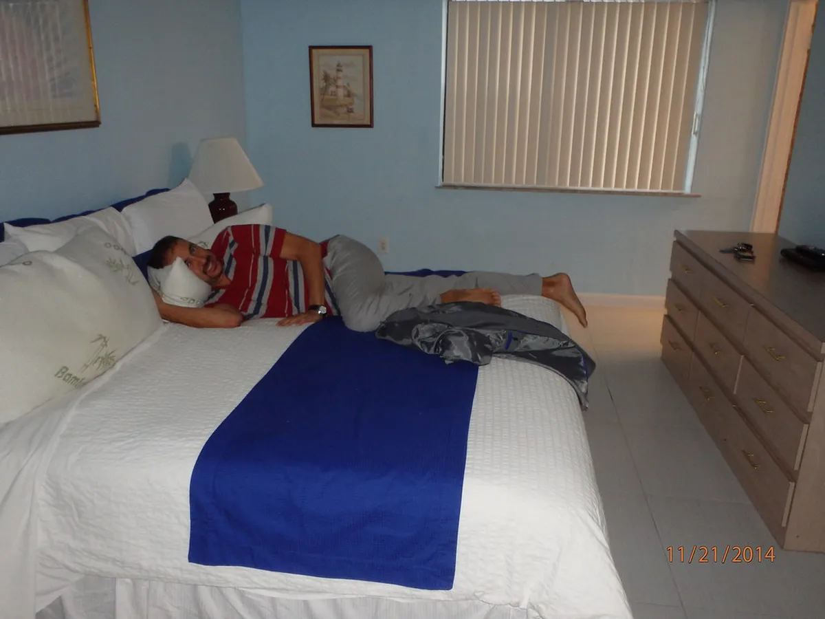 1-Day Mangrove Forest Boardwalk Walking Tour Guide