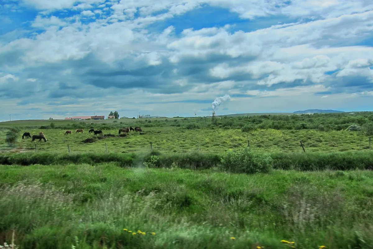 Most Popular Free Walks in Nusa Penida: 2026 Budget Guide