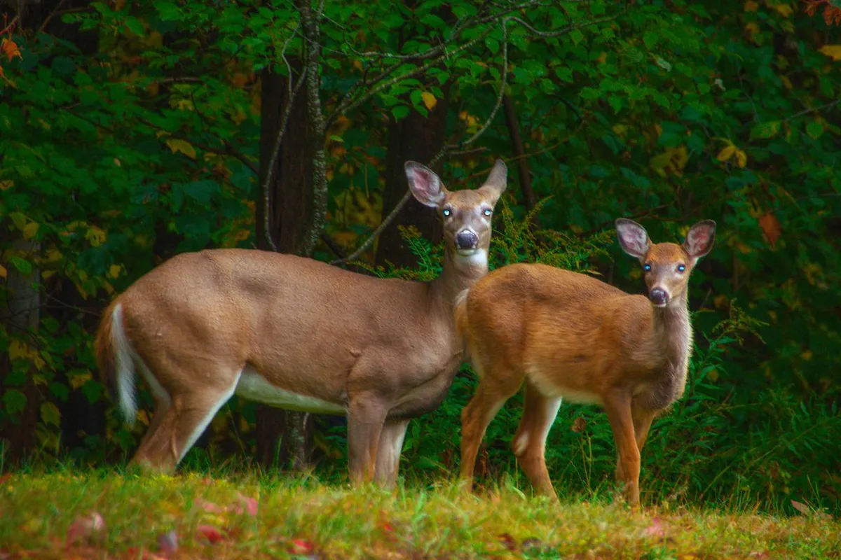 1-Day Itinerary: Top Historical Landmarks on Surabaya Walking Tours