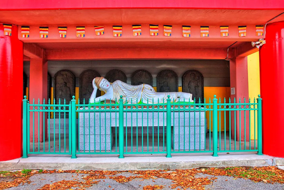 Free Walking Tour Beppu Tipping Guide: 2026 Costs