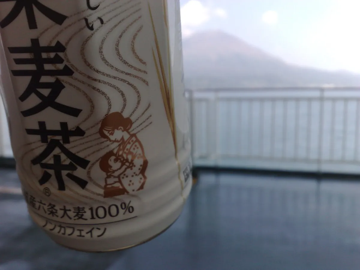 Finding Kagoshima Walking Tour Meeting Points: 1-Day Guide