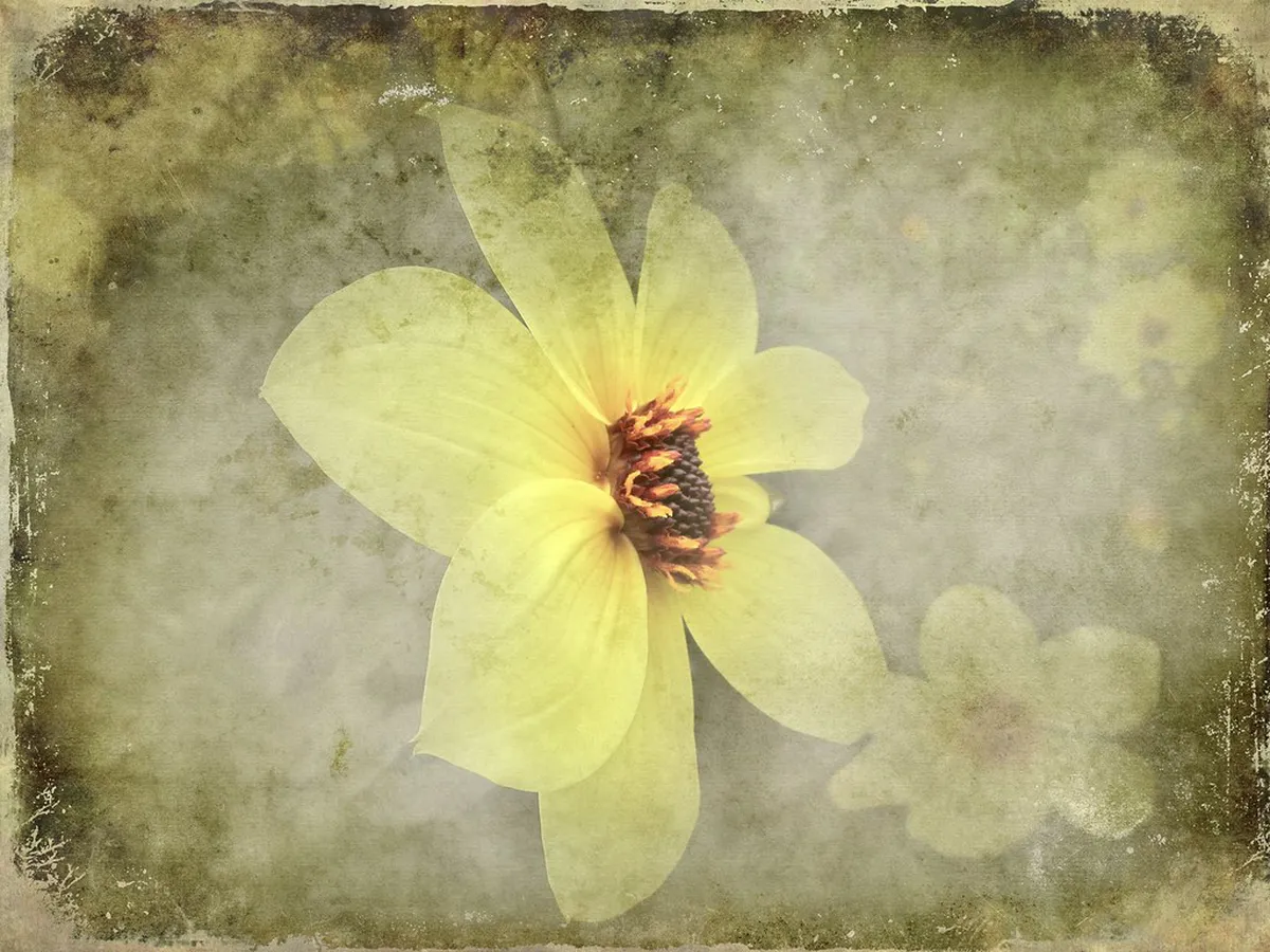 Free things to see in Kanazawa: A Budget Travel Guide