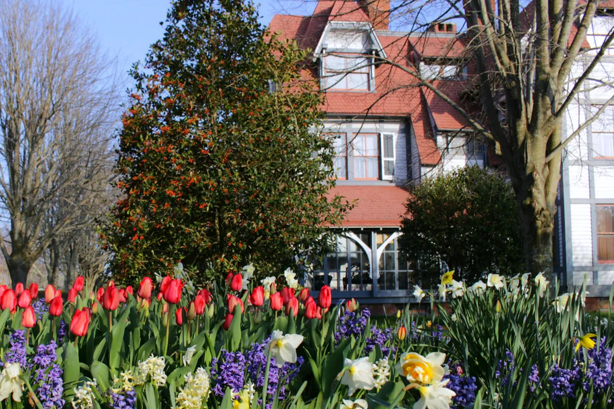 Self-guided walking route through Higashi Chaya (1-Day)