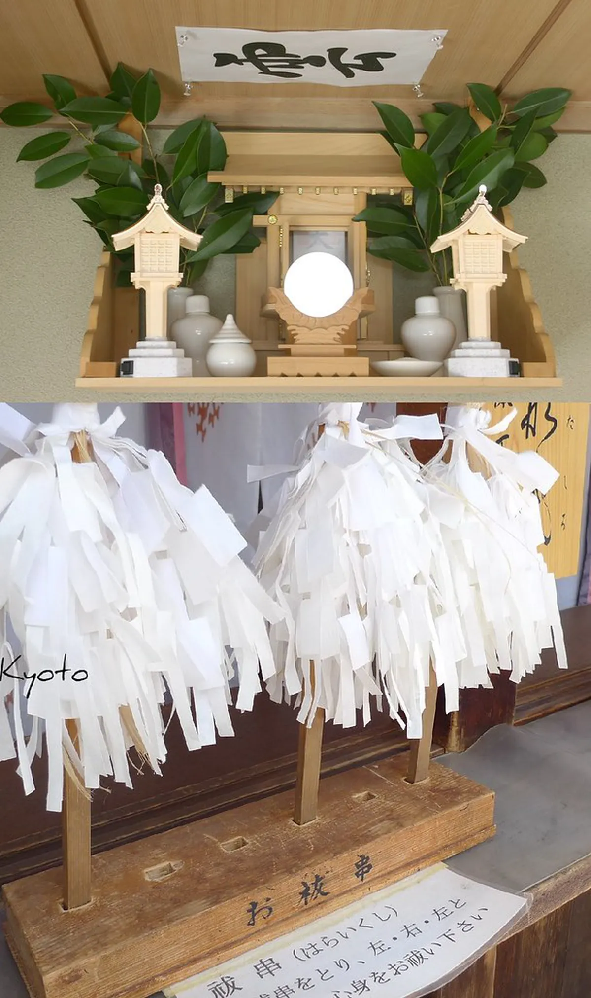 How to Book Kumamoto Volunteer Guides: 2026 Guide