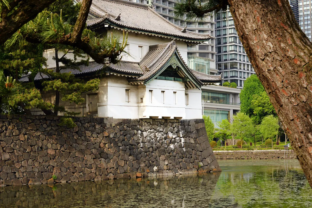 Best Time for Kyoto Walking Tours: A Seasonal Guide