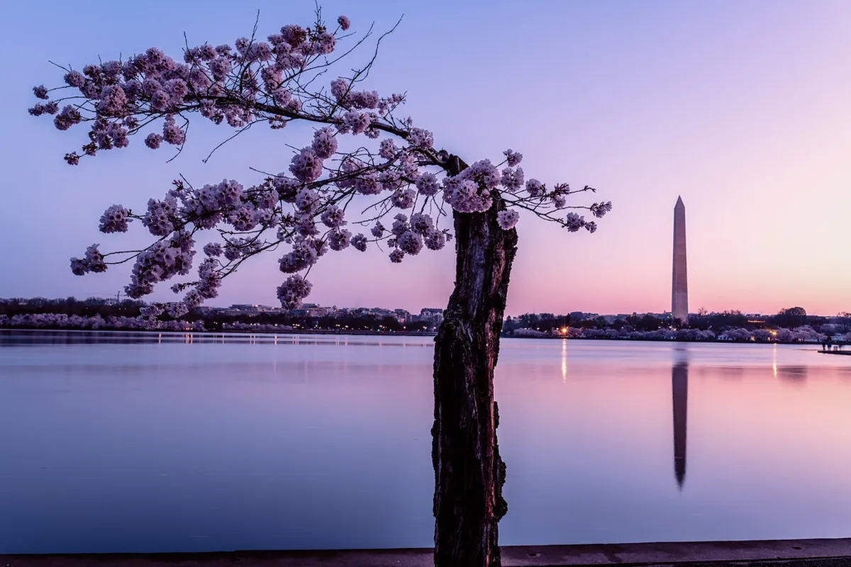 Free Tour Tipping Guide Kyoto: How Much to Pay