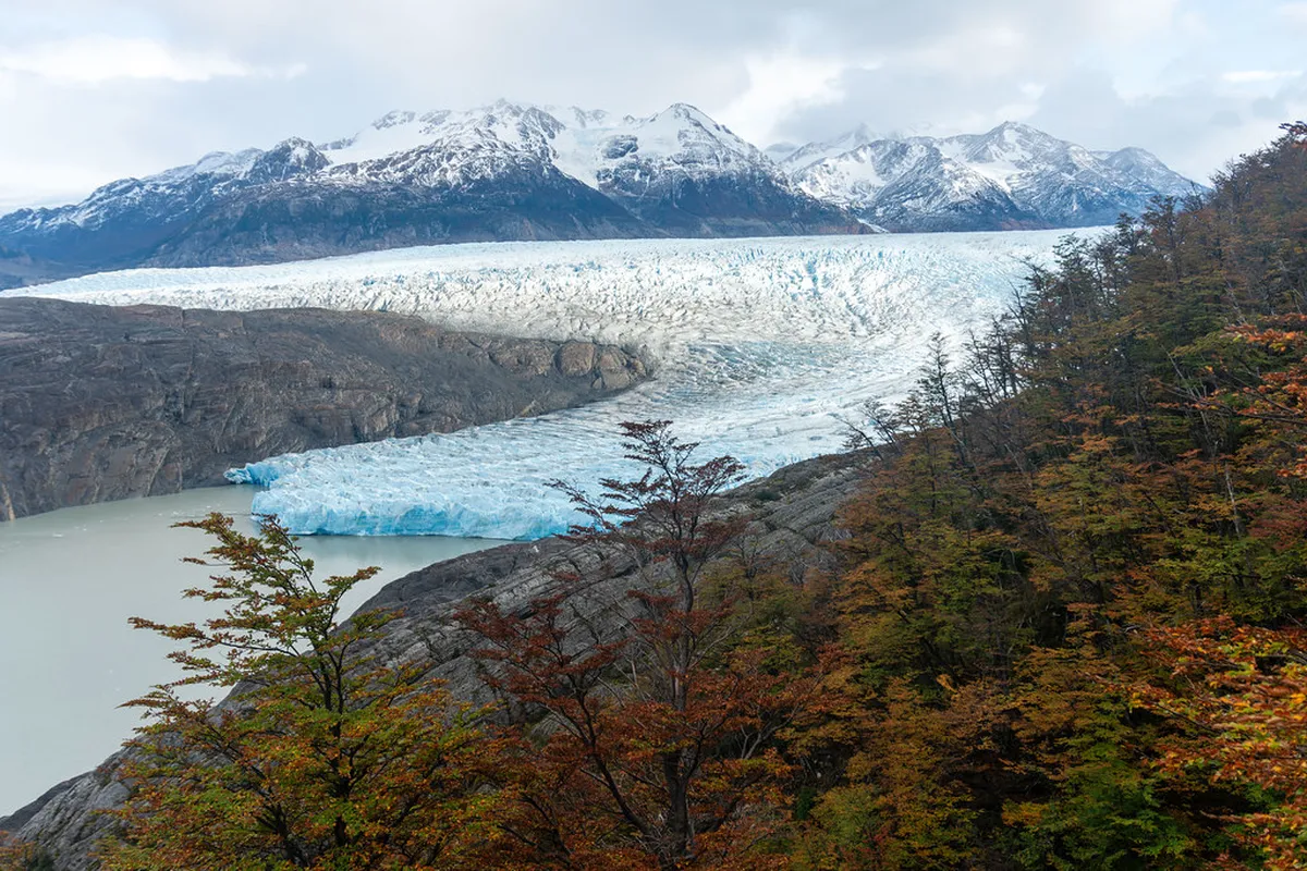 How to Join Nikko Free Tours: 2026 Budget Guide