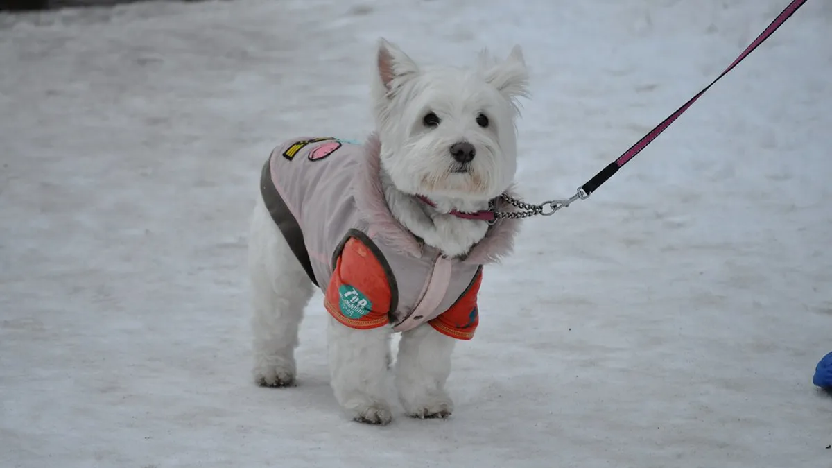 1-Day Sapporo Odori Park Walking Tour Itinerary
