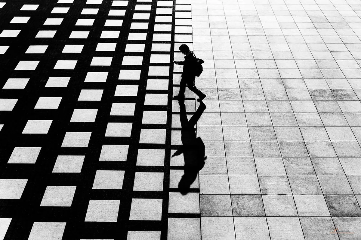 Yokohama Free Walking Tour vs Paid Tours Guide