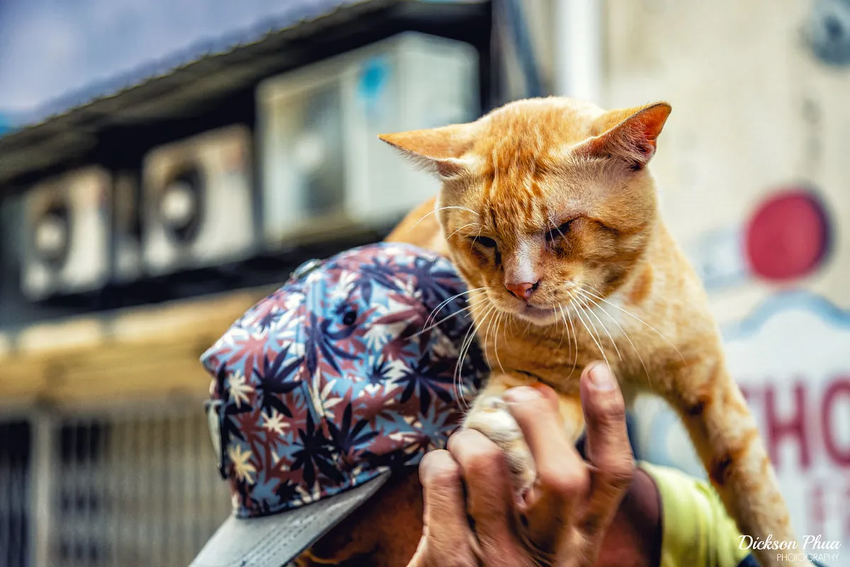 1-Day Johor Bahru Walking Tour Meeting Point Guide