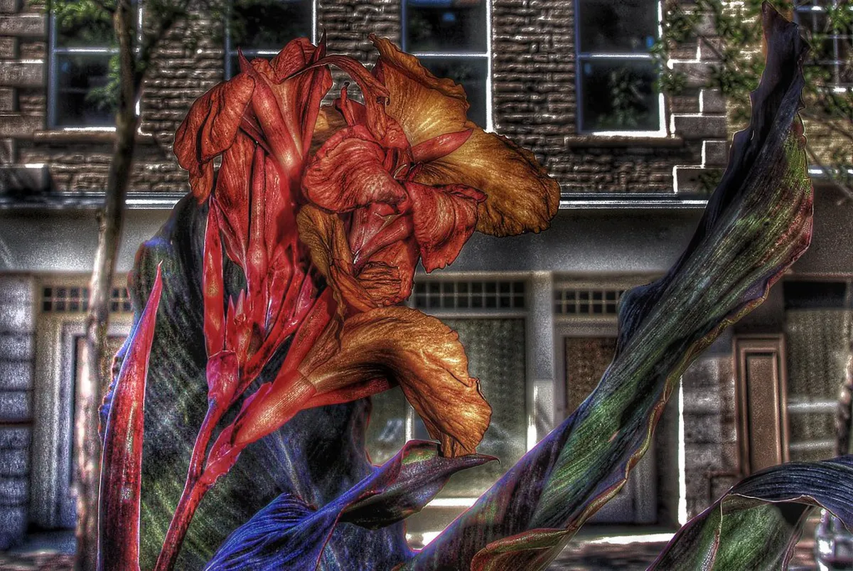 2 Days Exploring Historical Sites on Walking Tours in KK