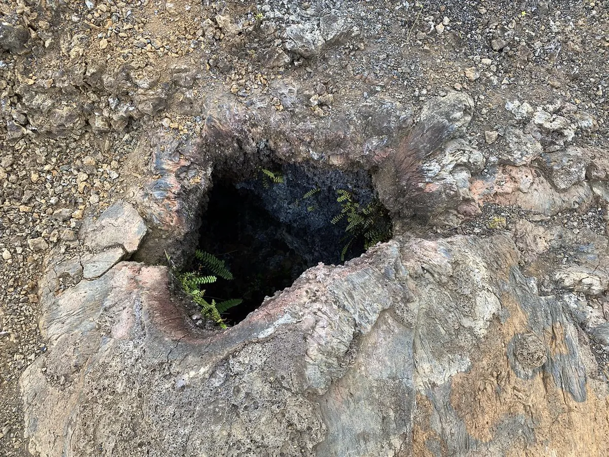 How to Find Tour Guides in Kuala Terengganu: 2026 Guide