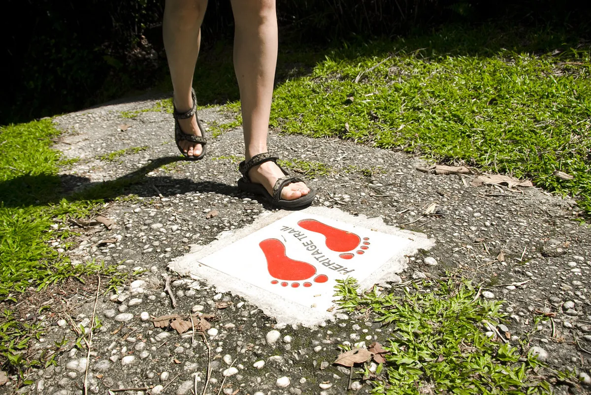 Sandakan Walking Tour vs Paid Tours: Which Is Best?