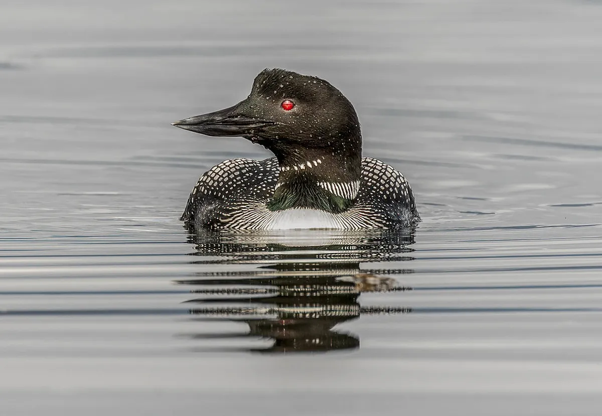 What to bring on a Coron walking tour: Expert Checklist