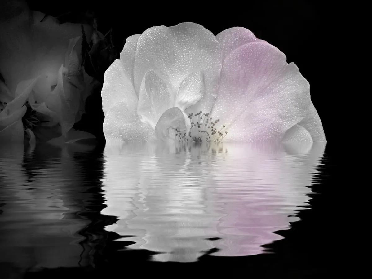 Free Things to See in Iloilo City: 2026 Budget Guide