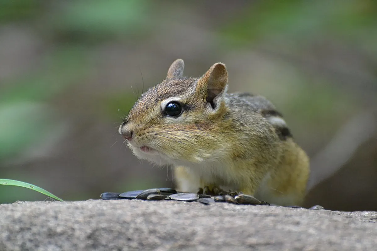 How to Visit Moalboal Heritage Sites: A 2026 Guide
