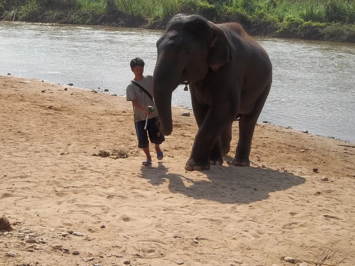 What to Wear on Chiang Mai Walking Tours: 2-Day Guide