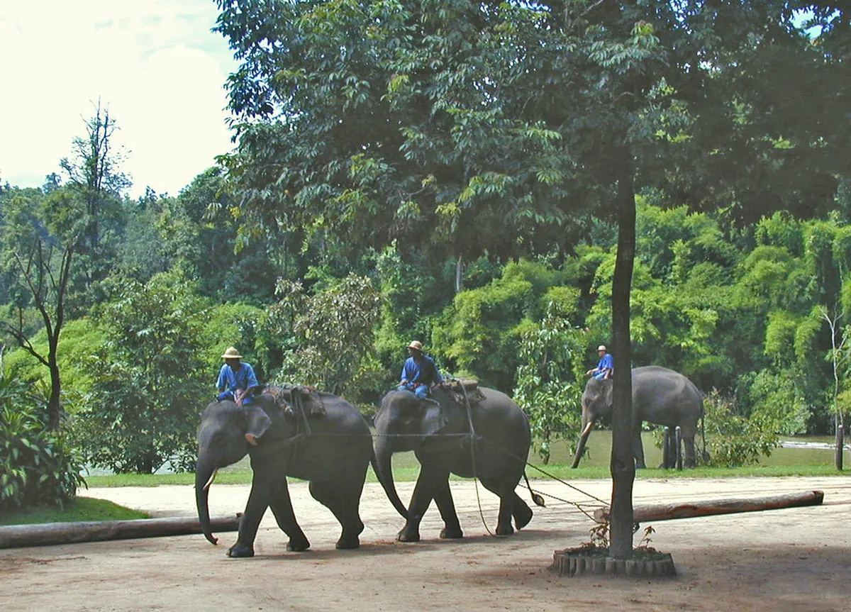 Lampang Walking Tour Tipping Etiquette: 1-Day Guide