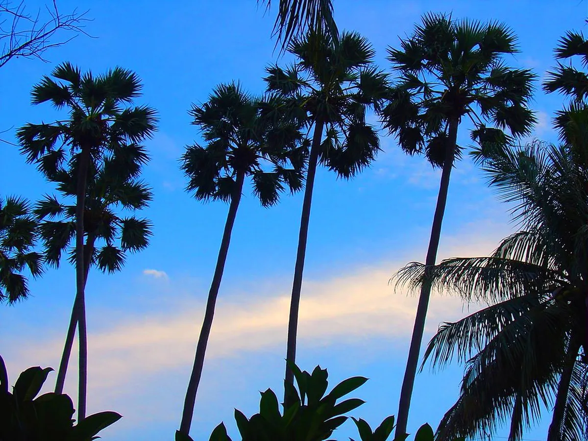 Best Time for a Sunset Walk at Pattaya Viewpoint