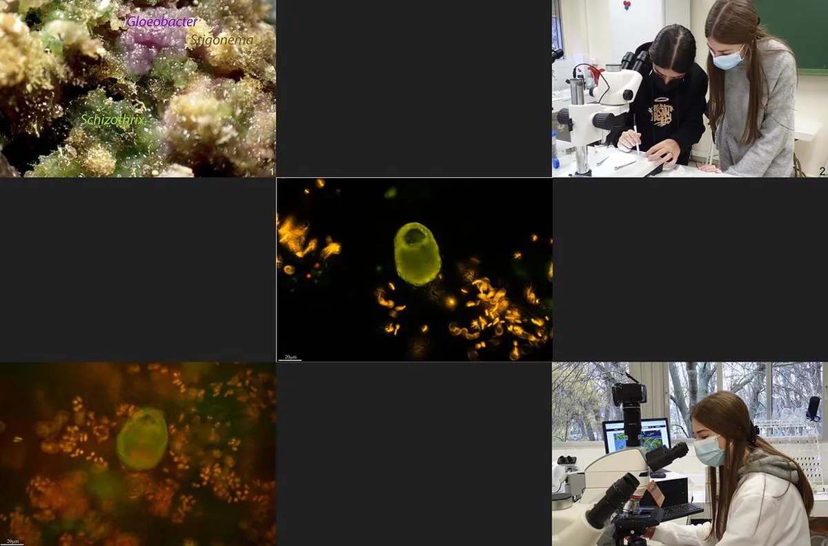 Finding Trat Walking Tour Meeting Point: 1-Day Guide