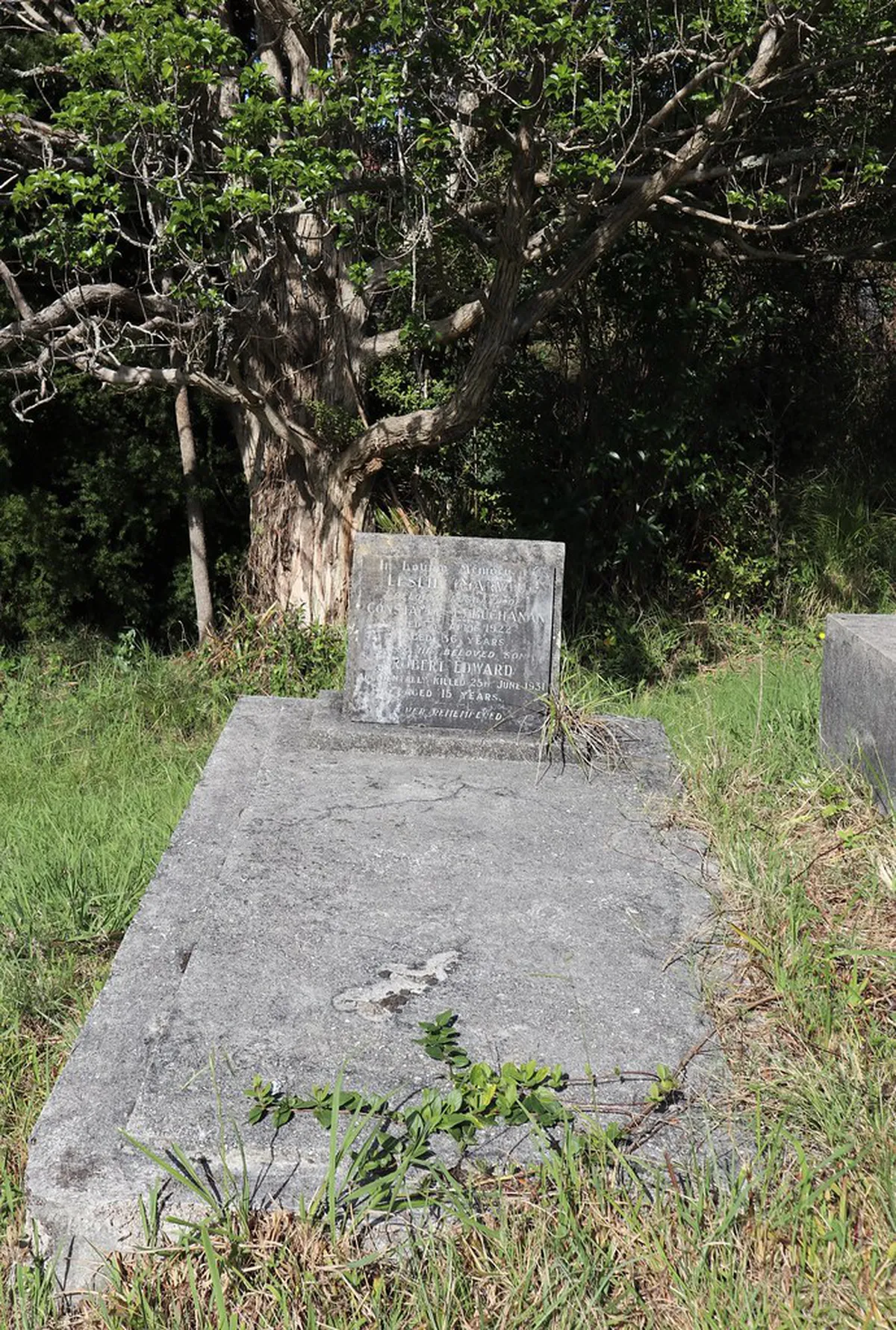 How to Join Can Tho Walking Tours: 2-Day Guide