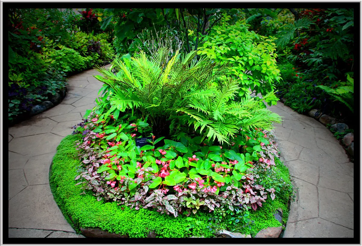 10 Historical Landmarks in Chau Doc Center You Must See