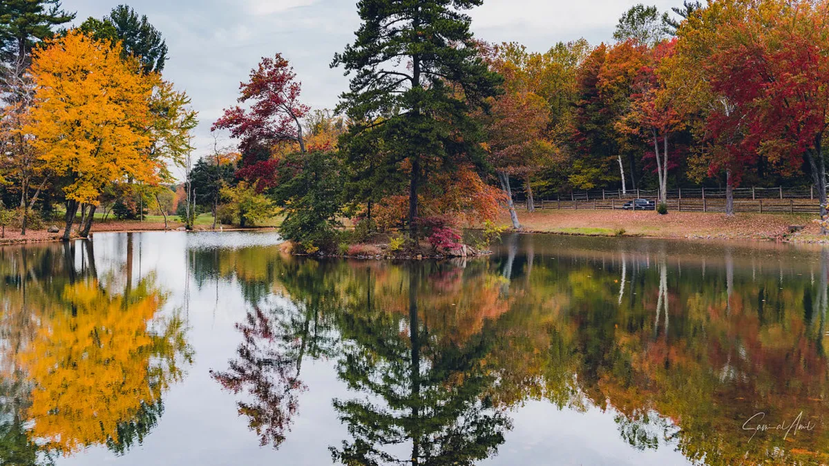 Best Time for Dalat Walking Tours: A Seasonal Guide