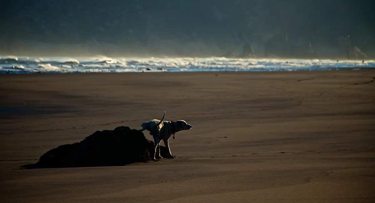 Ha Tien Walking Tour Budget Tips and Cost Guide